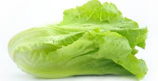 Lettuce - COMERCIALIZADORA GAB S.A. DE C.V.